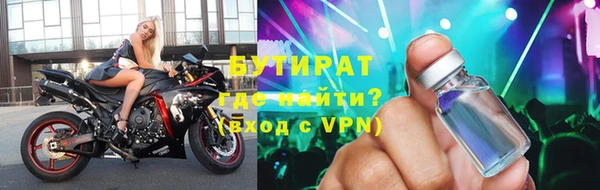 индика Надым