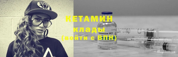 индика Надым