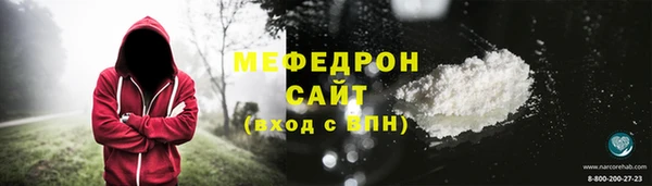индика Надым