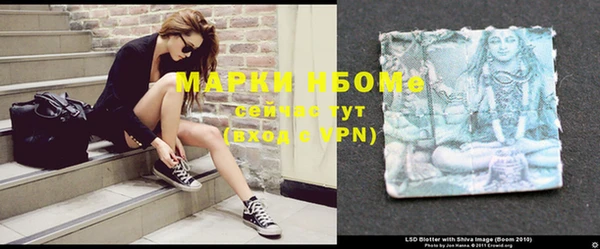 индика Надым