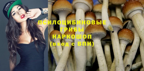 прущая мука Мегион